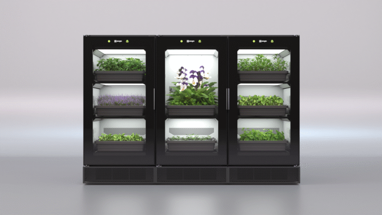 3 cabinets grey background (view lights)