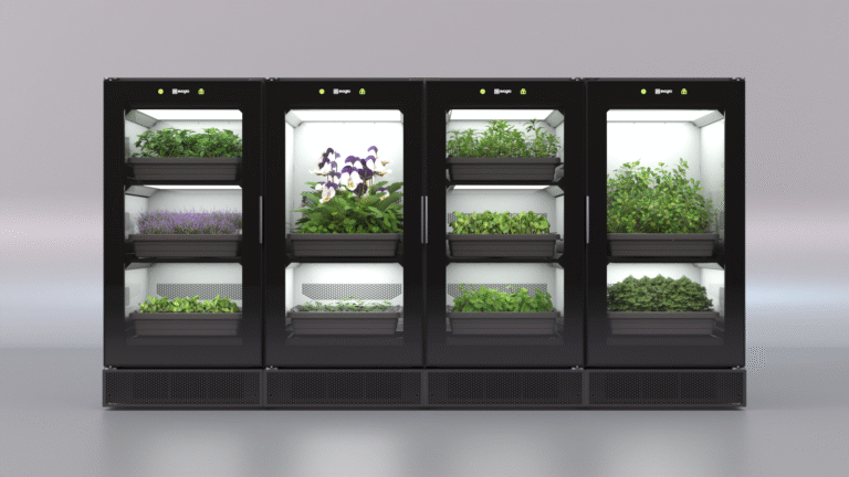 4 cabinets grey background (view lights)