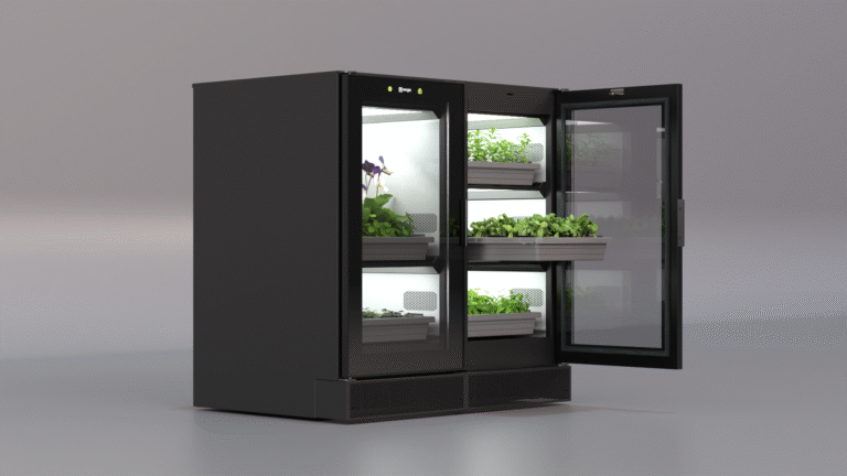 double 01 grey background(1920x1080)