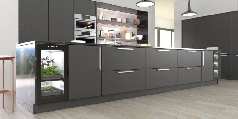 composed vfb enhancer upload 2026 03 11 21 52 24 513 (4000px)